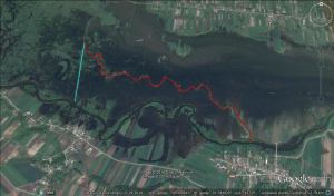 Przekop potoku Maskalis. Niebieska linia to nowe koryto rzeki. Czerwona to dawne koryto - obecnie system zanikajacych drobnych zbiorników wodnych.